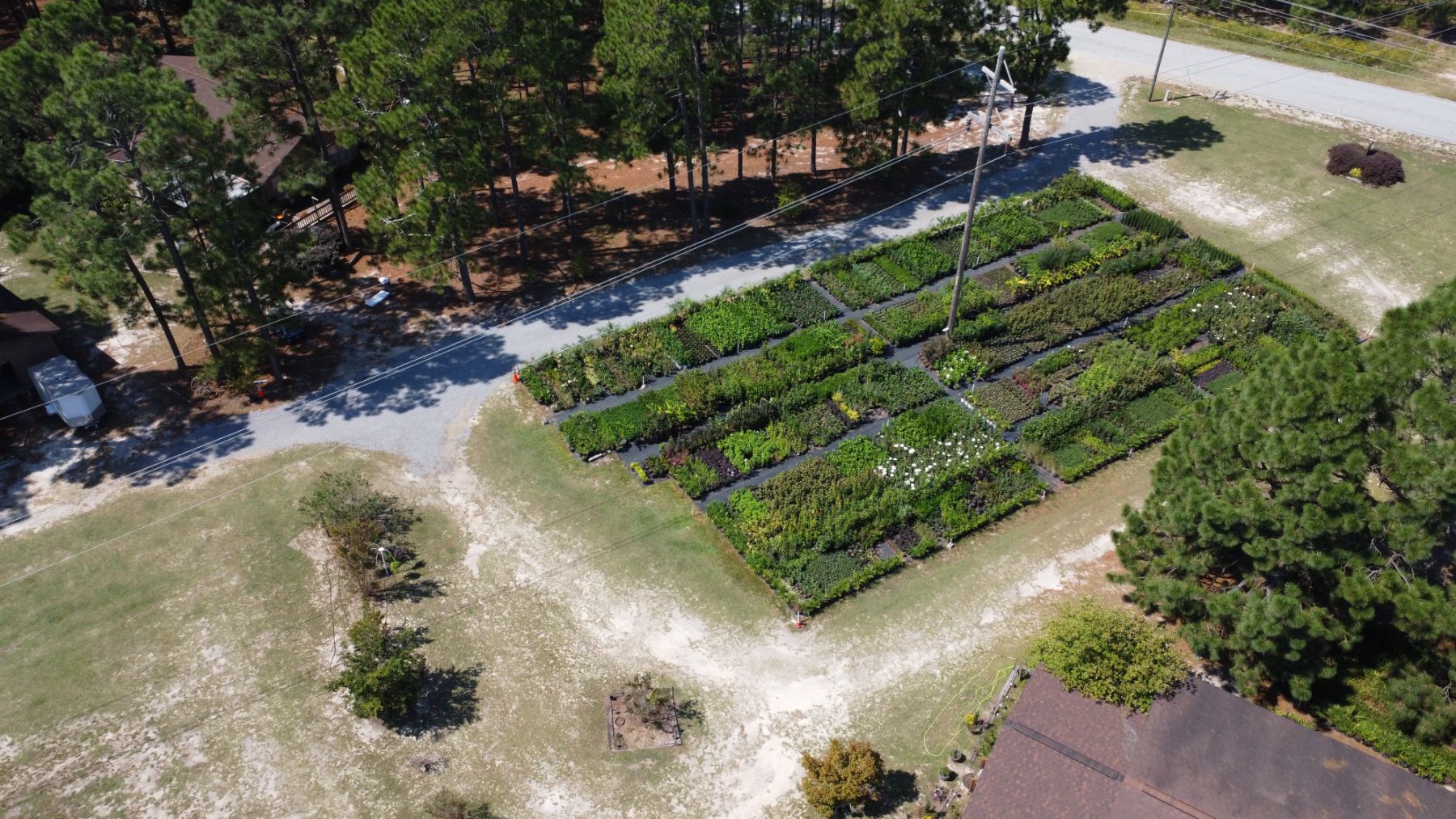 Aerial view of Truesdale Farms nursery rows